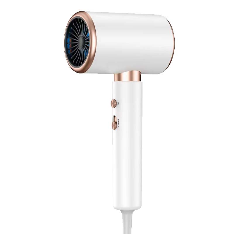 Hair Dryer Constant Temperature Professional Hairdryers 2000W hair fast dryer